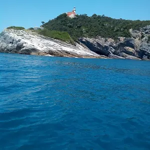 Lavanda La Spezia